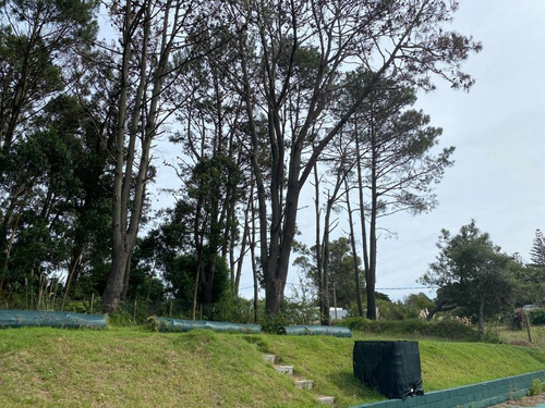 Imagen 15 de 17 de Terreno - Golf