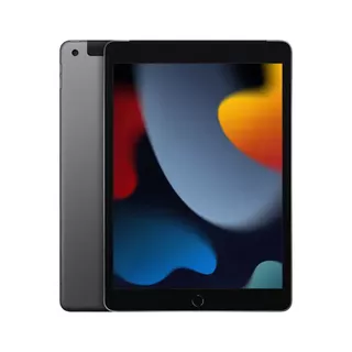 Tablet Apple iPad 9na Generación 10.2in Wifi 256gb Gris