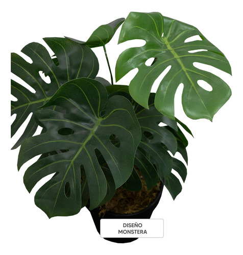 Kit 4 Plantas Artificiales Tipo Mini Monstera 35cm
