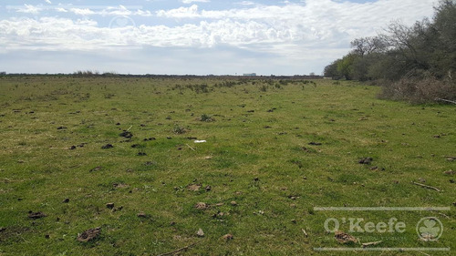Imagen 5 de 22 de Chacra De 28 Has En Venta - Casco Y Producción