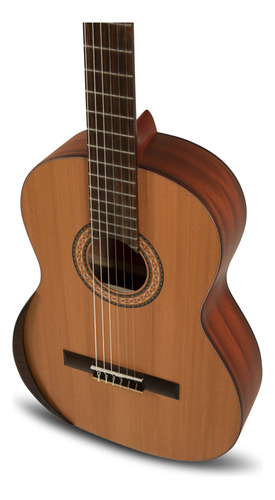 Guitarra Manuel Rodriguez Tradicion Ecologia T65