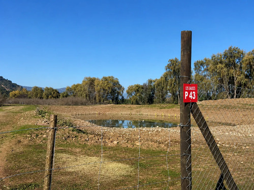 Parcela 5000m2 En Proyecto Los Avellanos, Zapallar, Curicó