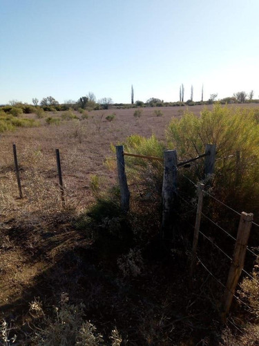 Imagen 5 de 26 de Venta Campo 103 Ha General Alvear