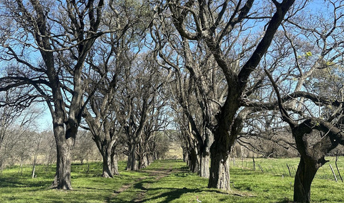 Venta - Lote Interno - Estancia Carabassa | Vco Propiedades