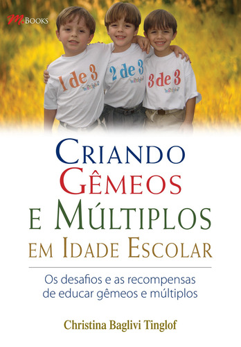 Criando Filho Homem, Sem a Presença do Pai, de Bromfield, Richard. M.Books do Brasil Editora Ltda, capa dura em português, 2005
