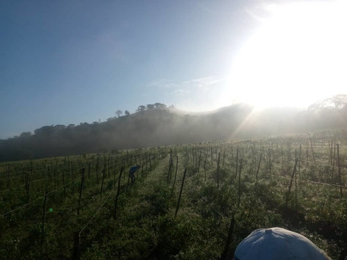 Imagen 3 de 28 de Finca En Venta En El Estado Guarico