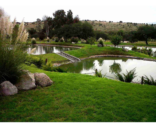 Terreno Venta, Desarrollo Hacienda La Presita, San Miguel Allende, Gto.