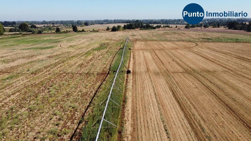 Imagen 12 de 13 de Abundante Agua. Uso Agrícola Y Frutícola