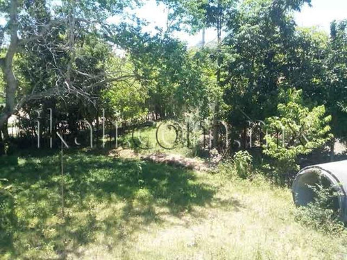 Imagen 4 de 12 de Terreno En Venta Joaquin Hernandez Galicia