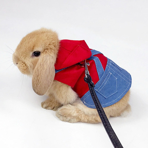Suministros Para Mascotas Animales Pequeños Metro Rojo