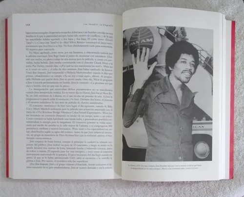 Libro Biografía De Jimi Hendrix