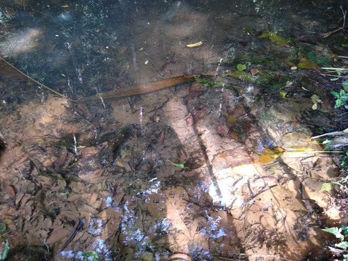 Imagem 17 de 30 de Sítio Ideal Para Lazer E Moradia Á Apenas 700 Metros Da Rodovia, Com Belíssima Casa Sede Em Juquitiba/sp! - 05 - 33845423
