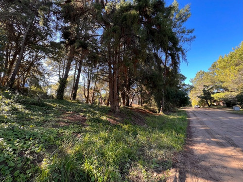 Imagen 16 de 16 de Lote En Carilo Hornero Y Paraíso