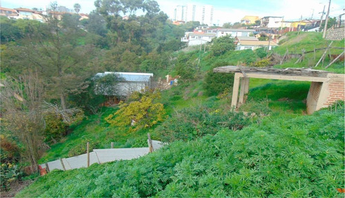 Región Valparaiso (73811)