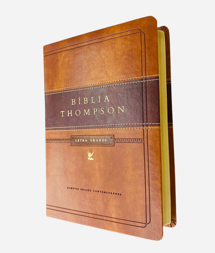 Bíblia De Estudo Thompson | Aec Letra Grande | Marrom Luxo, De Thompson. Religião, Vol. Grande. Editorial Editora Vida, Capa Mole, Edição 1 Edição 2014 Em Português, 2014