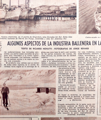 La Industria Ballenera En Las Islas Georgias Del Sur En 1957