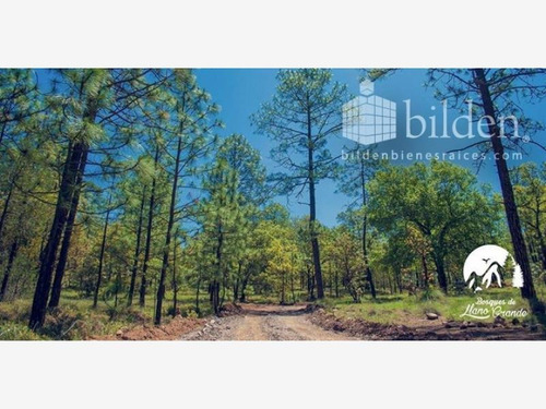 Imagen 4 de 12 de Terreno En Venta Bosques De Llano Grande