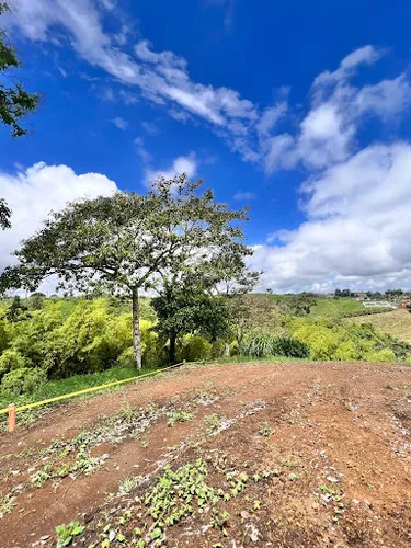 Lotes En Venta Via Variante Condina 1031-2663