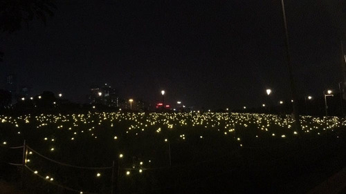 Firefly Luces Solares Para Jardín Al Aire Libre 80 Luces L