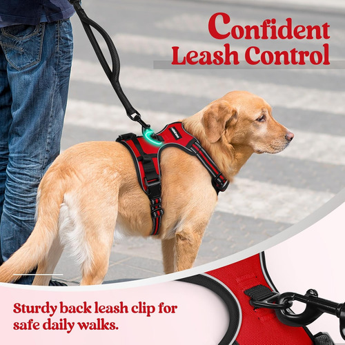 Arnés Para Perros Rabbitgoo No Tirar, Ajustable, Talla M