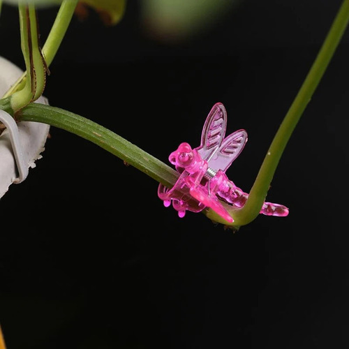 Clips De Soporte Para Plantas De Jardín, 30 Uds., Clips De