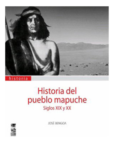 Historia Del Pueblo Mapuche Siglo Xix Y Xx, De Bengoa, Jose. Editorial Lom, Tapa Blanda En Español