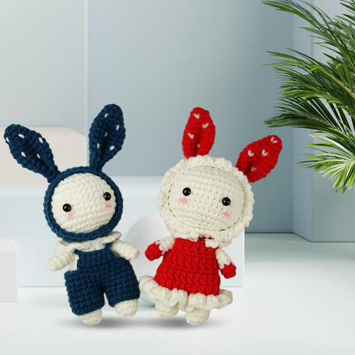 Kit De Ganchillo Conejo Crochet Craft Set Juguete De Tejer A