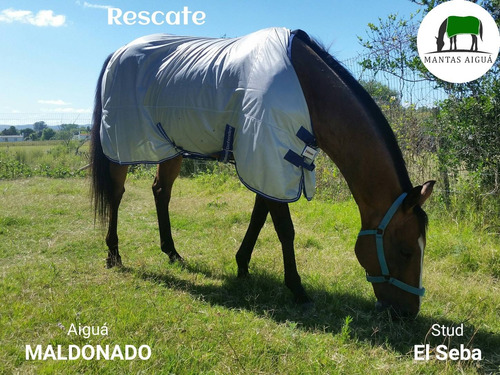 Imagen 4 de 10 de Manta Capa Verano Anti Moscas Caballos ($3600 Vta. Directa)