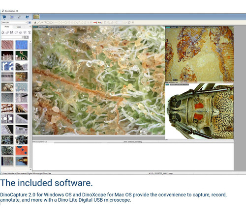 Microscopio Digital Dino-lite Am3111-0.3 Mp, 10x - 50x, 230x