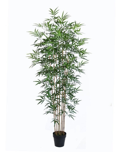 Planta Artificial Permanente Bambu Bamboo 180cm - 313
