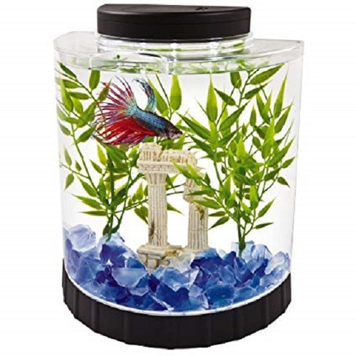 Bettera Tetra Half Moon 4lt Luz Led Usb Tapa Betta Polyptera