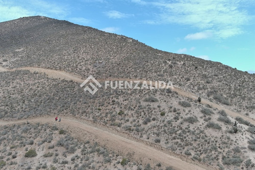 22 Parcelas De 5,000 M2 En Venta El Hinojal,valle De Elqui.