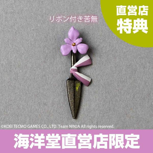 Amazing Yamaguchi Ninja Gaiden 3: Ayane Bonus Preorder