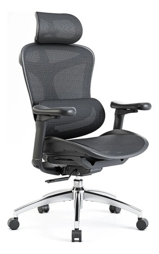 Cadeira Ergonômica Para Escritório Sihoo Doro C100
