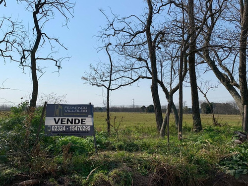 Imagen 1 de 5 de Venta- Loteo De 1 Hectarea