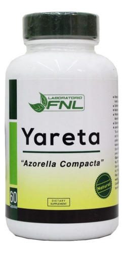 Yareta Ayuda Control Diabetes Tipo 2