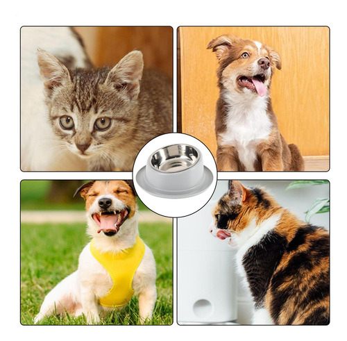 Cuenco Elevado Para Gatos Cuencos Inclinados Para Perros Cue