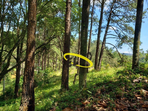 Imagem 13 de 19 de Terreno À Venda, 21250 M² Por R$ 1.100.000,00 - Jardim Nossa Senhora Das Graças - Cotia/sp - Te0873