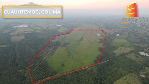 Se Vende Rancho De 186 Hectareas Planas, Tractorables, Limpias En Cuauhtemoc, C