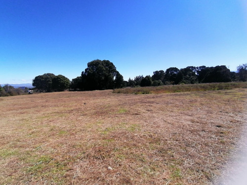 Imagen 12 de 12 de Terreno En Huasca De Ocampo Hgo. Junto A Rancho San Fco.