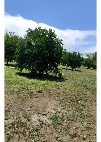 Venta Finca De 4000mts2, En Dagua, Valle Del Cauca 12099.