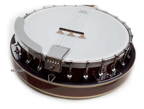 Imagen 4 de 8 de Banjo 5 Cuerdas Alta Calidad Danny / Remo Con Accesorios