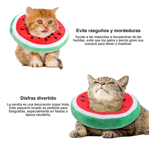 Collar De Recuperación Para Gatos Y Perro, Cono Isabelino,