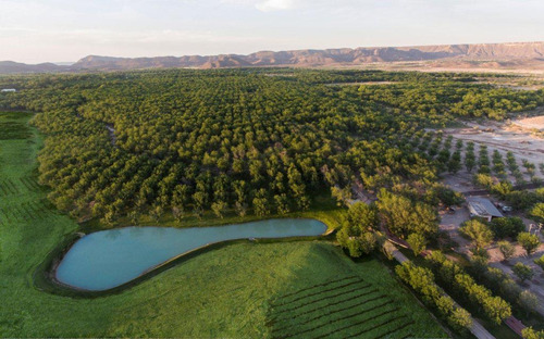 Imagen 1 de 9 de Terreno En Venta (lotes) Parras De La Fuente Coahuila