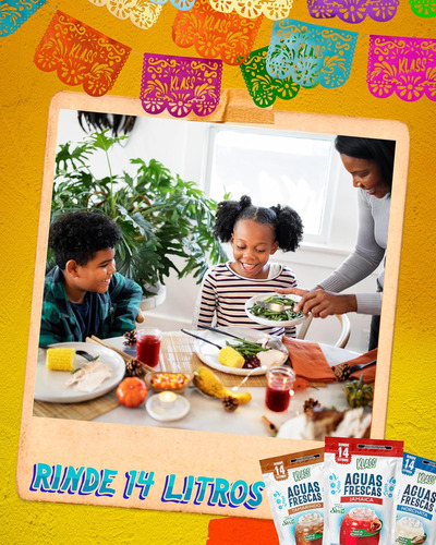 Klass Aguas Frescas Polvo De Bebida Sabor Jamaica Rinde 14l