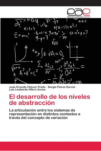Libro El Desarrollo Niveles Abstracción En Español