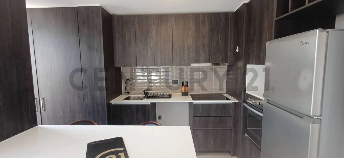 Imagen 5 de 20 de Arriendo Depto Providencia 2d2b. Metro Inés De Suárez