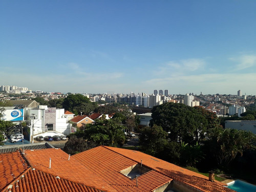 Prédio À Venda Em Nova Campinas - Pr005544