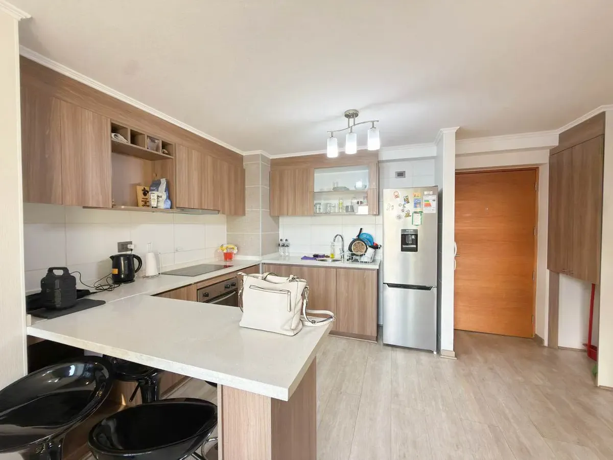 Imagen 4 de 20 de Departamento En Venta En Calle Maipú, Concepción