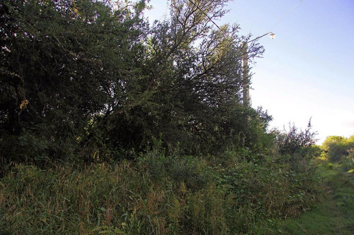 Imagen 5 de 14 de Venta De Terreno En Carpintería Calle Las Mandiocas Mts 1791